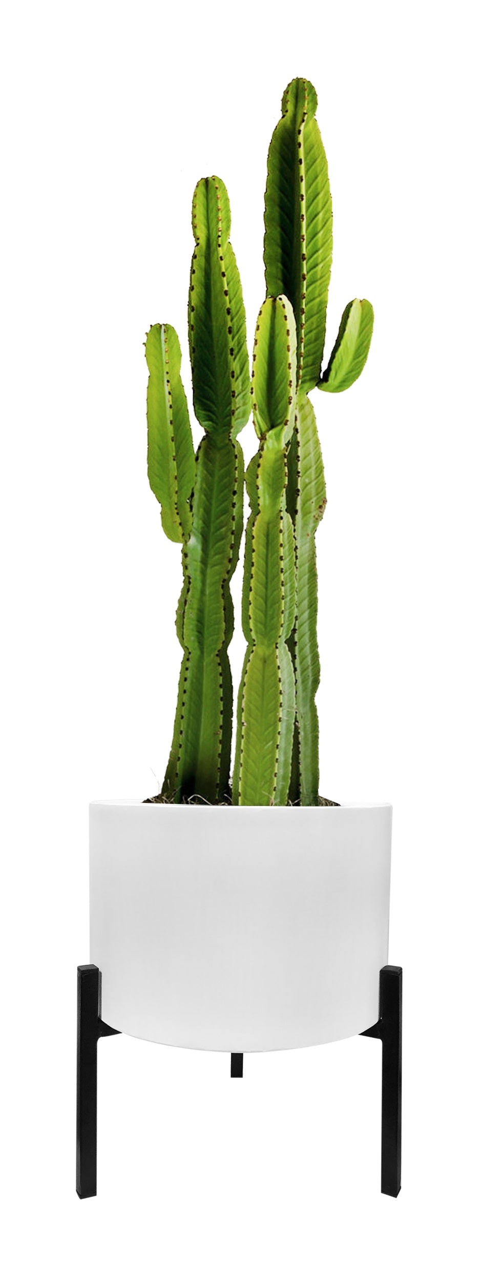 42077 - Blooms Planter Stand White