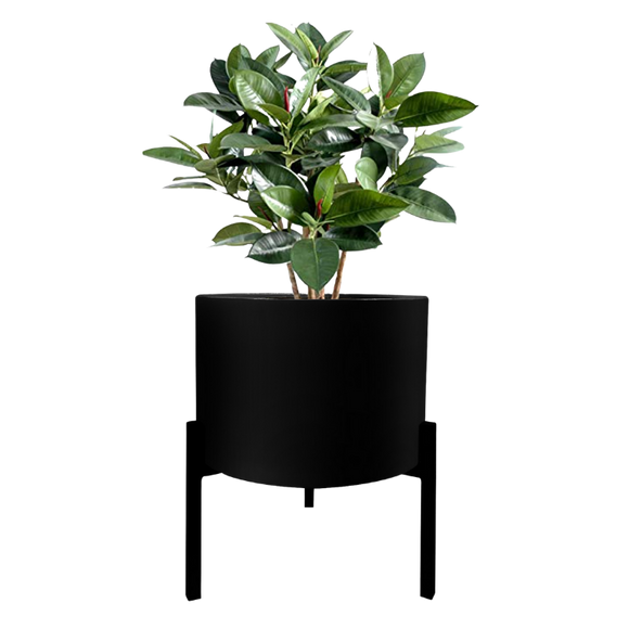 42078 - Blooms Planter Stand Black